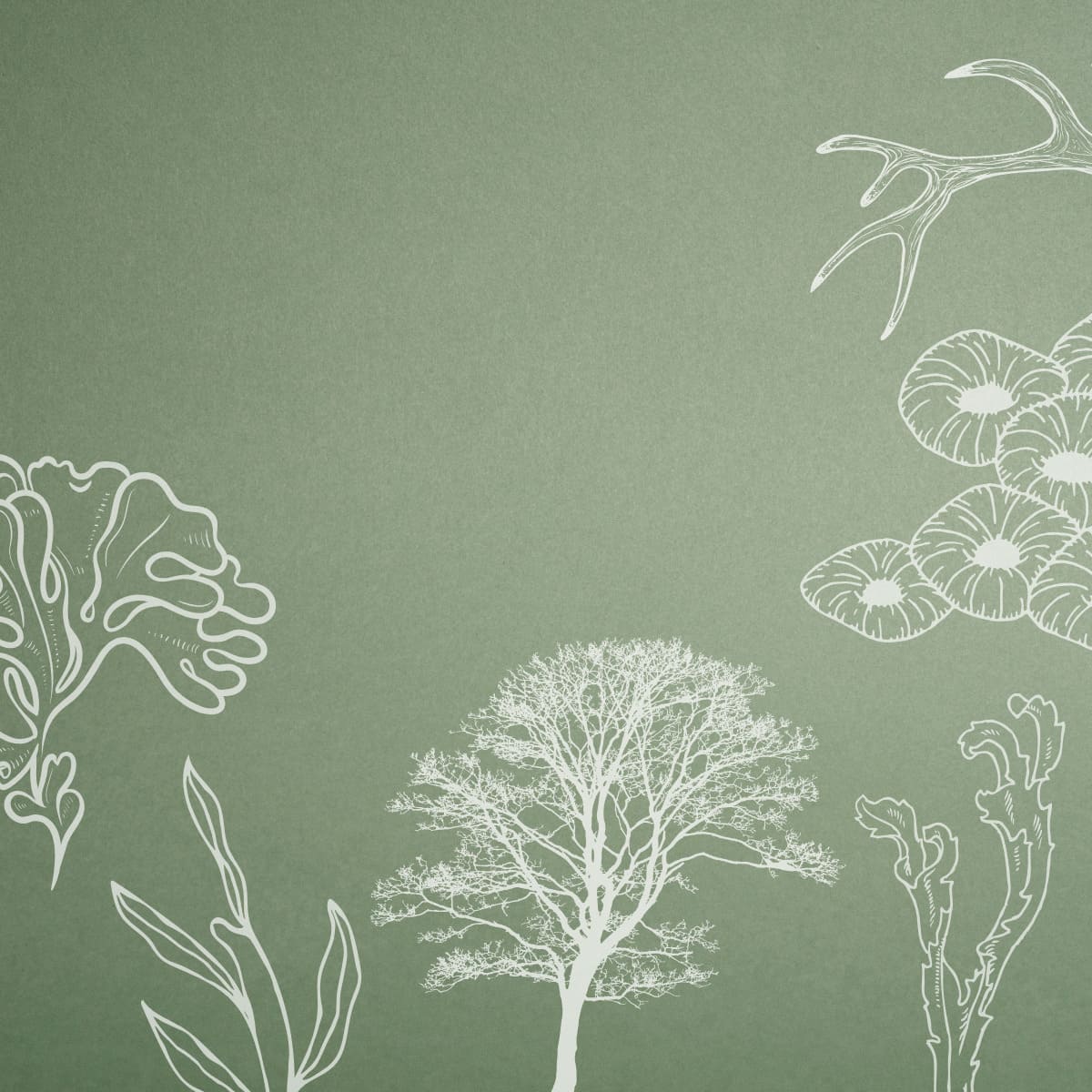 Les parfums aquatiques