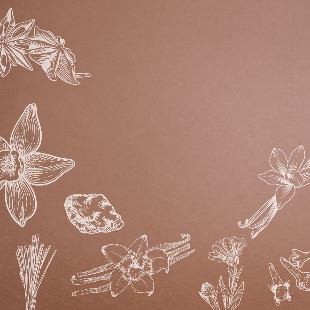 Famille olfactive Les orientaux