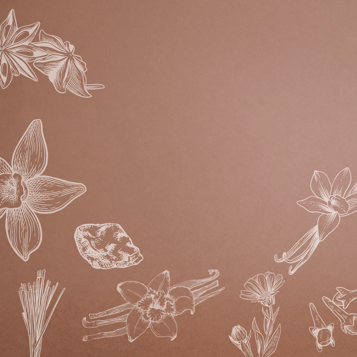 Famille olfactive Les orientaux