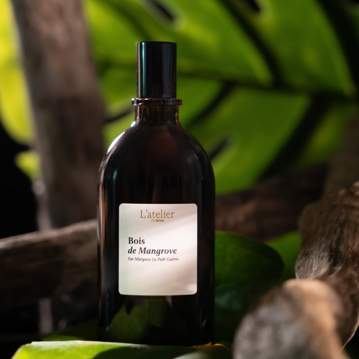 Eau de parfum intense Bois de mangrove en flacon dans décor végétal