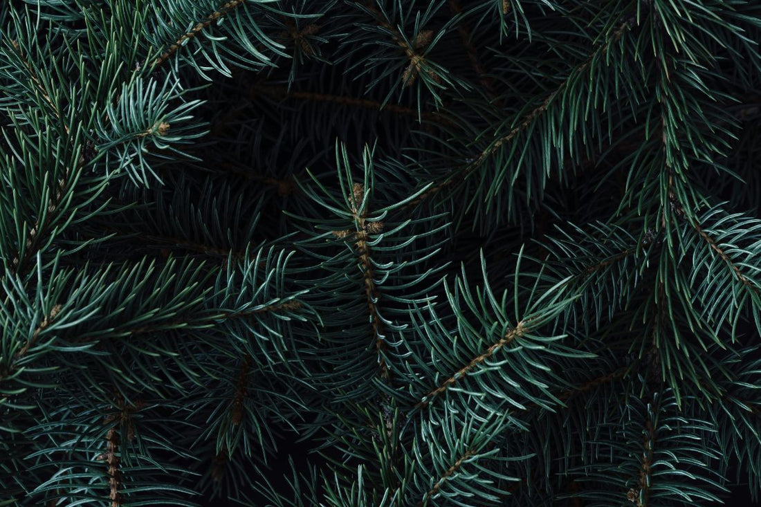 idées de cadeaux
