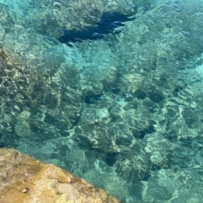 Les parfums aquatiques