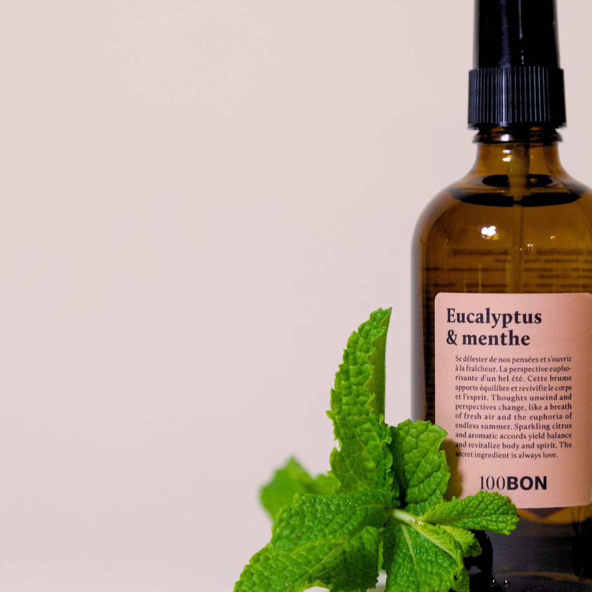 Brume intérieur Eucalyptus et Menthe et feuille de menthe