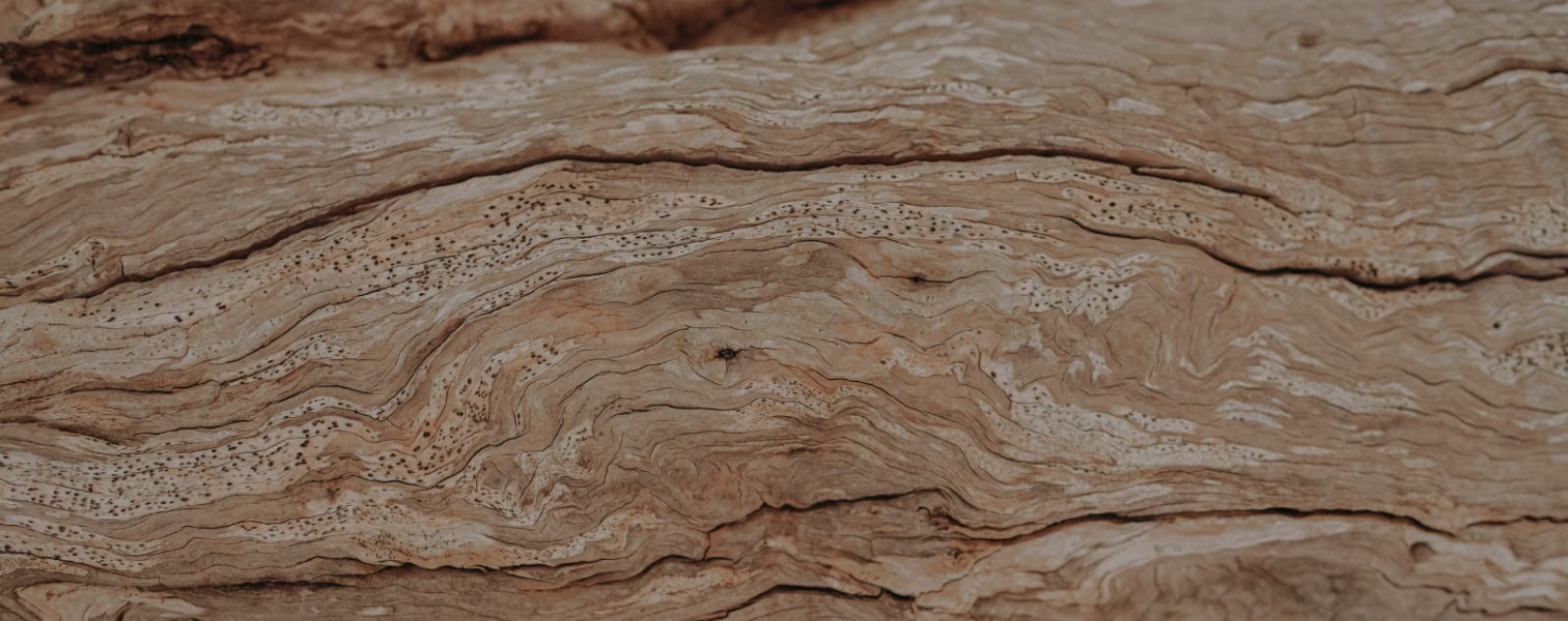 Bois ingredient parfum